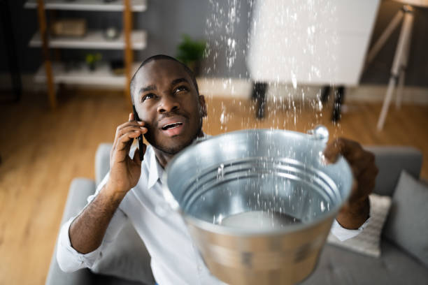 Best Water damage cleanup near me  in Summit, MS