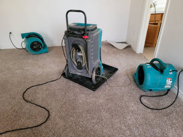 Best Ceiling water damage repair  in Summit, MS