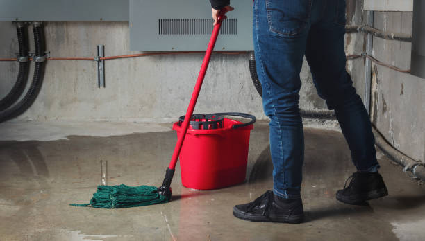 Best Carpet water damage restoration  in Summit, MS