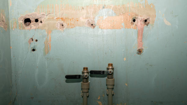 Best Professional water damage repair  in Summit, MS