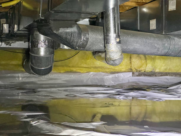 Best Water damage restoration company  in Summit, MS