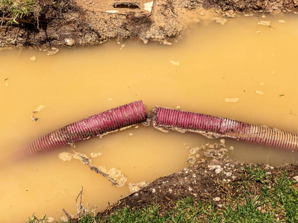 Best 24-hour water damage restoration  in Summit, MS